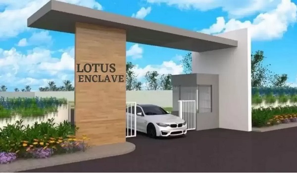 Lotus Enclave