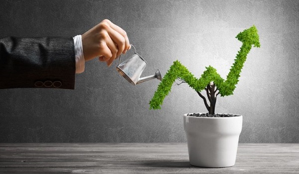 Provident Ecopolitan Investment